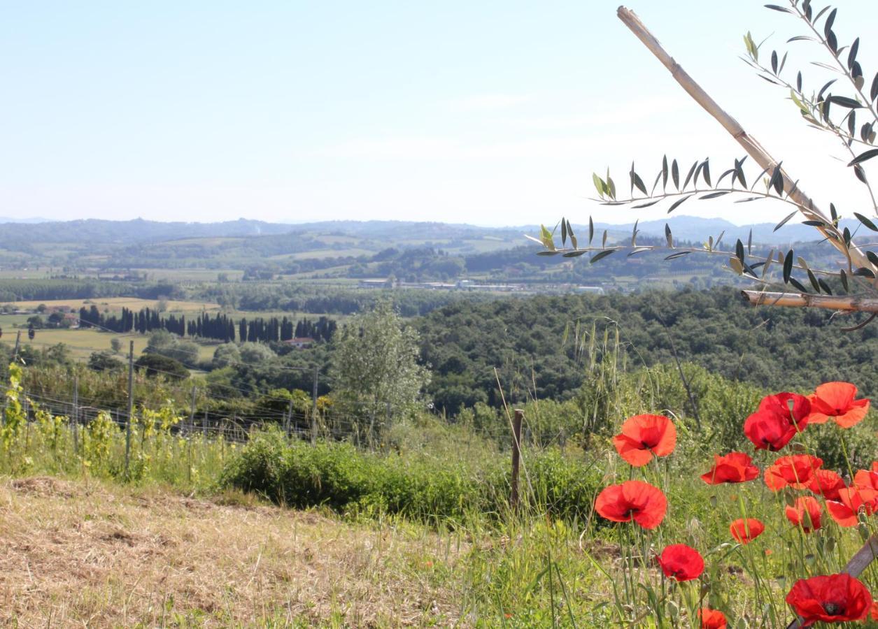 Tuscany Life Terricciola المظهر الخارجي الصورة